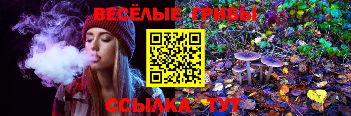 Галлюциногенные грибы Psilocybe Белогорск